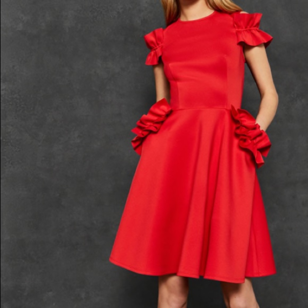 Ted Baker Ruffle Skater Dress